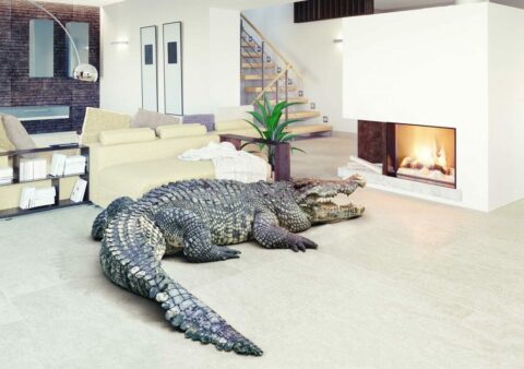 short term Rental Guest Screening - Alligator Trip Protection