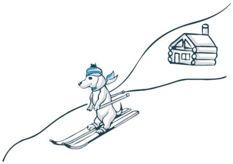 Dog Skiing