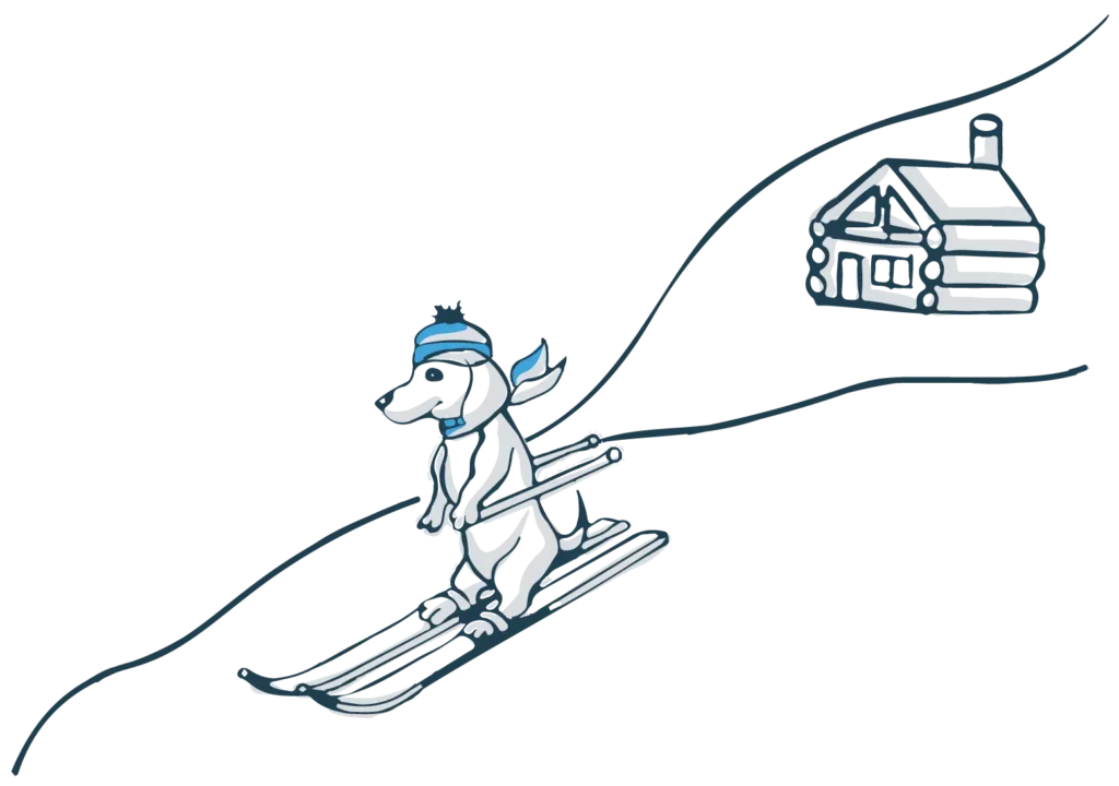 https://safely.com/wp-content/uploads/2022/08/Dog-Skiing.webp